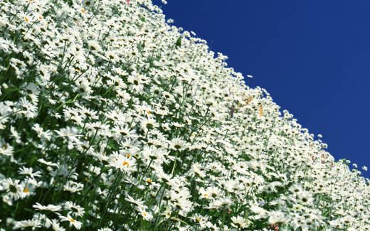 456400 (a): :1920x1200